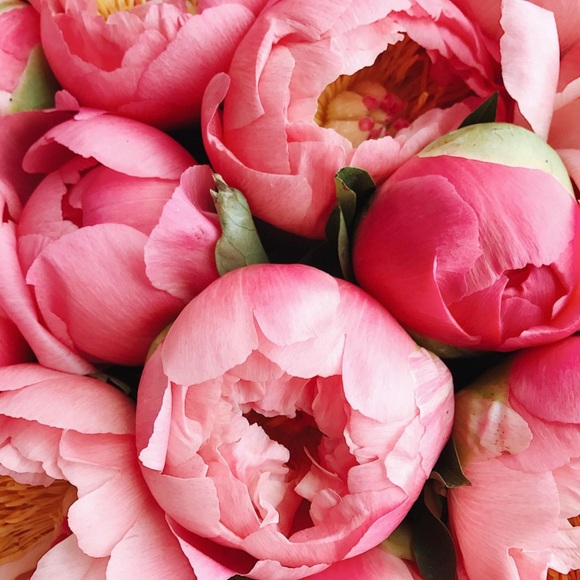 Meet your Posher - Picture 1 of 1